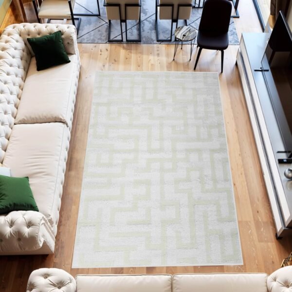 INFINITY SHAGGY Rug Design 1521