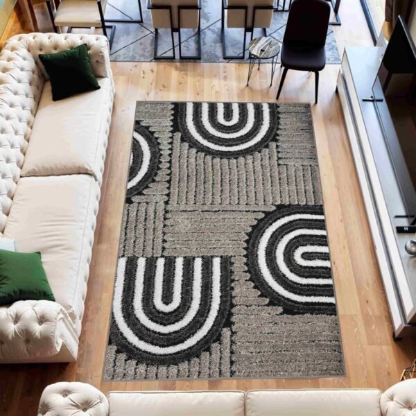 5D SHAGGY Rug Design 6412
