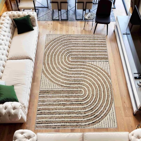 5D SHAGGY Rug Design 6421