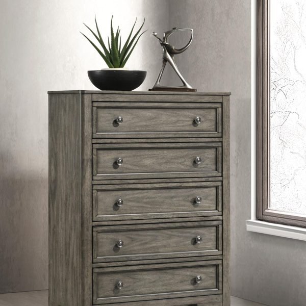 Ian-ANTIQUE GRAY CHEST