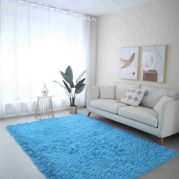 MEILIN-S SHAGGY Rug