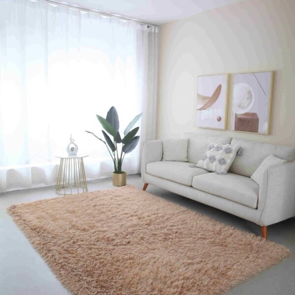 MEILIN-S SHAGGY Rug