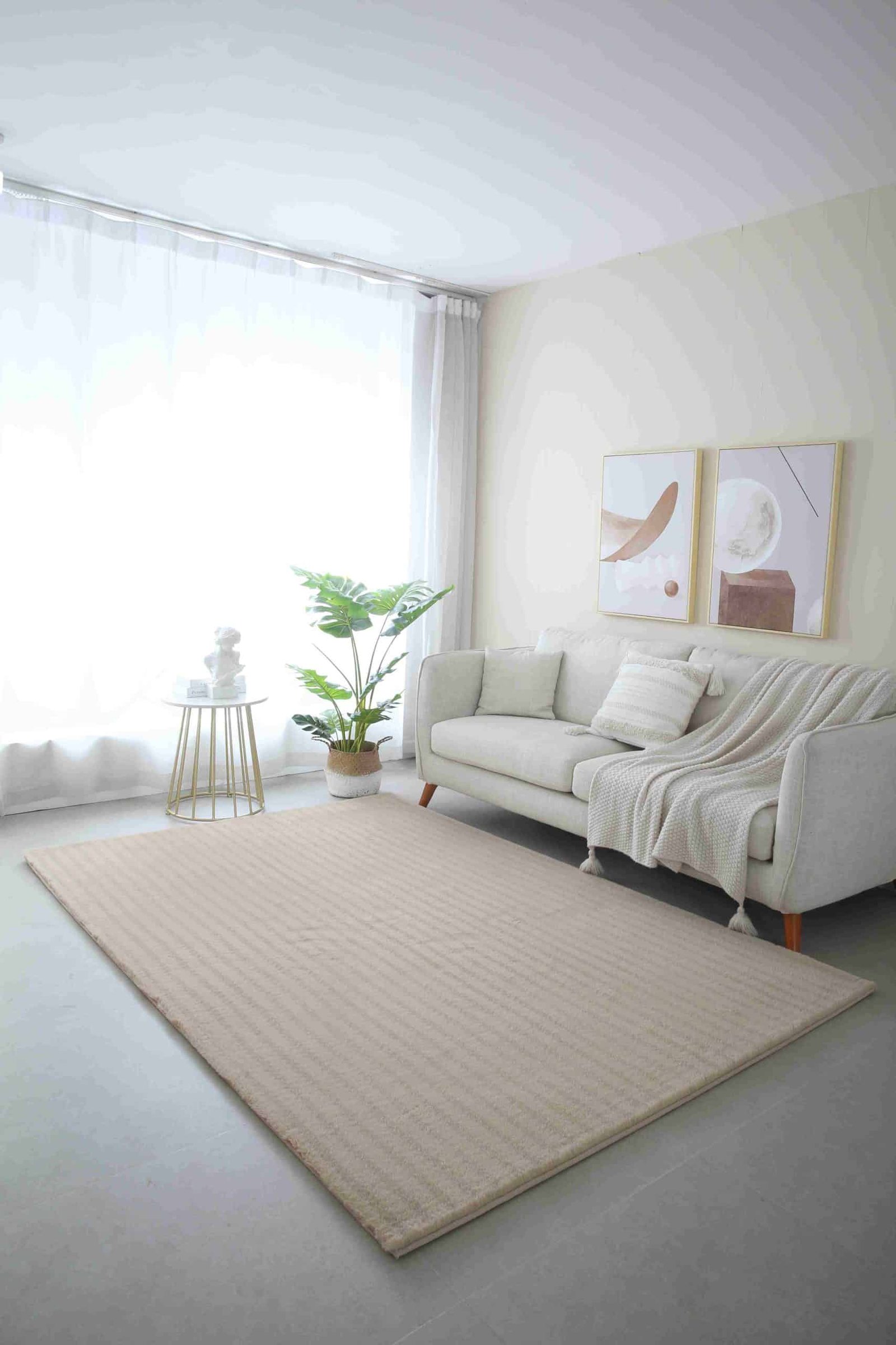 Savannah-Shaggy-Gold-1-scaled-1