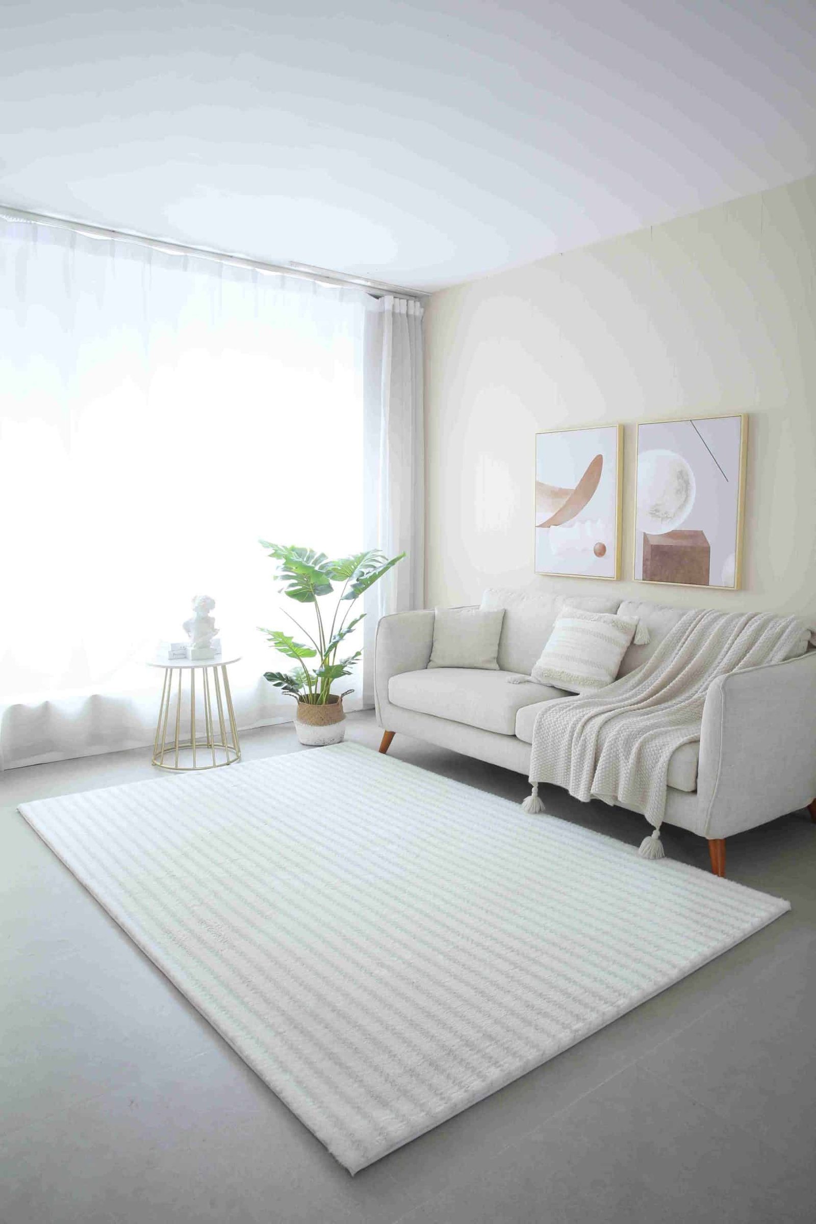 Savannha-Shaggy-White-1-scaled-1