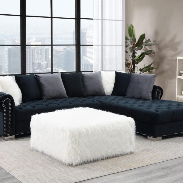 Milo  -BLACK 2 PC SECTIONAL